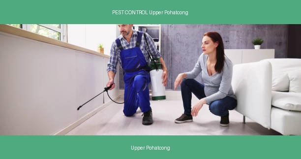 PEST CONTROL Upper Pohatcong